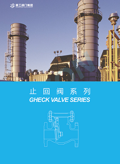 Check valve series