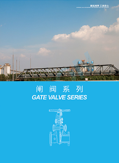 Gate valve series