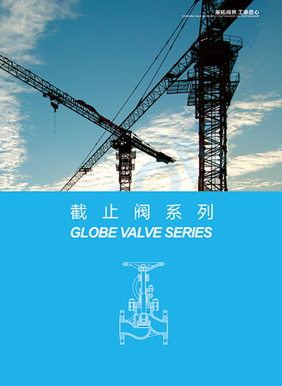 Globe valve series